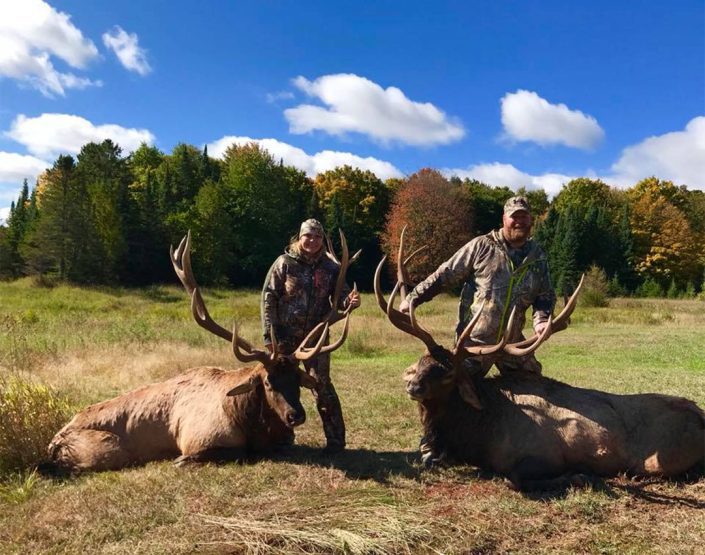 two hunters show off the elks they have killed 