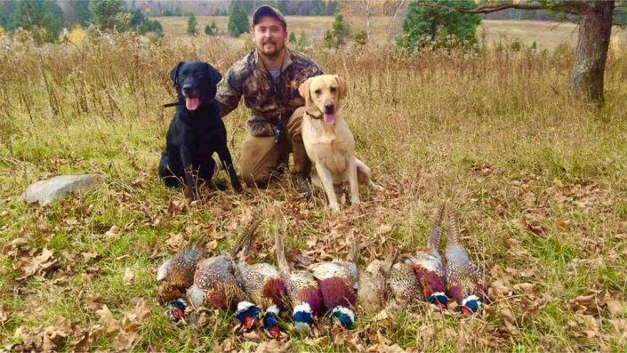 a person poses with two hunting dogs and some pheasants 