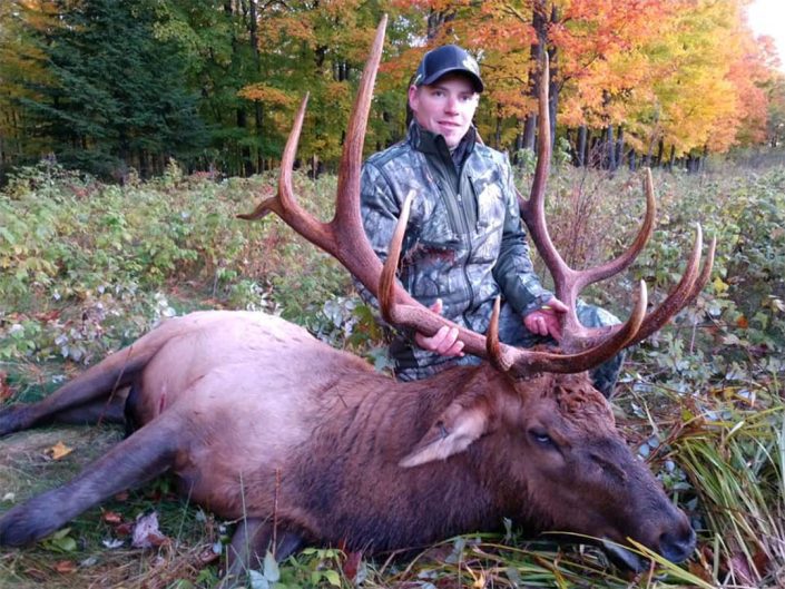 a hunter and his bull elk harvest 