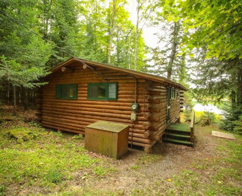 bear cabin rental