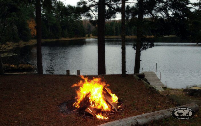 Campfire Along the Shore