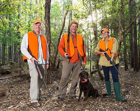 Corporate Retreats Pheasant Hunting