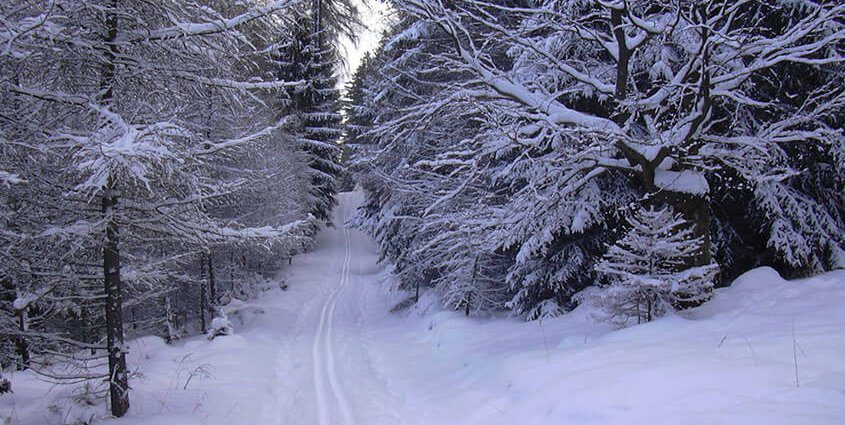Cross Country Skiing | The Wilderness Reserve