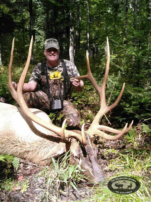 Elk Trophy from Guided Hunt