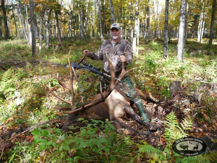 Guided Trophy Elk Hunt Northern Wisconsin