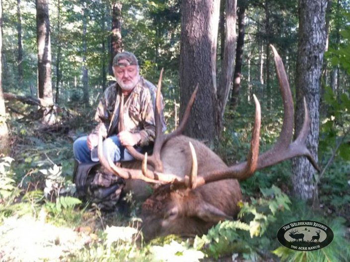 Massive Elk Trophy Guided Hunt