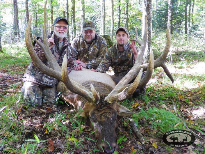 Midwest Guided Trophy Elk Hunt Wisconsin