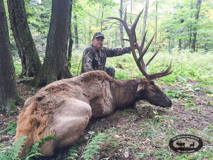 Trophy Elk Hunt | The Wilderness Reserve
